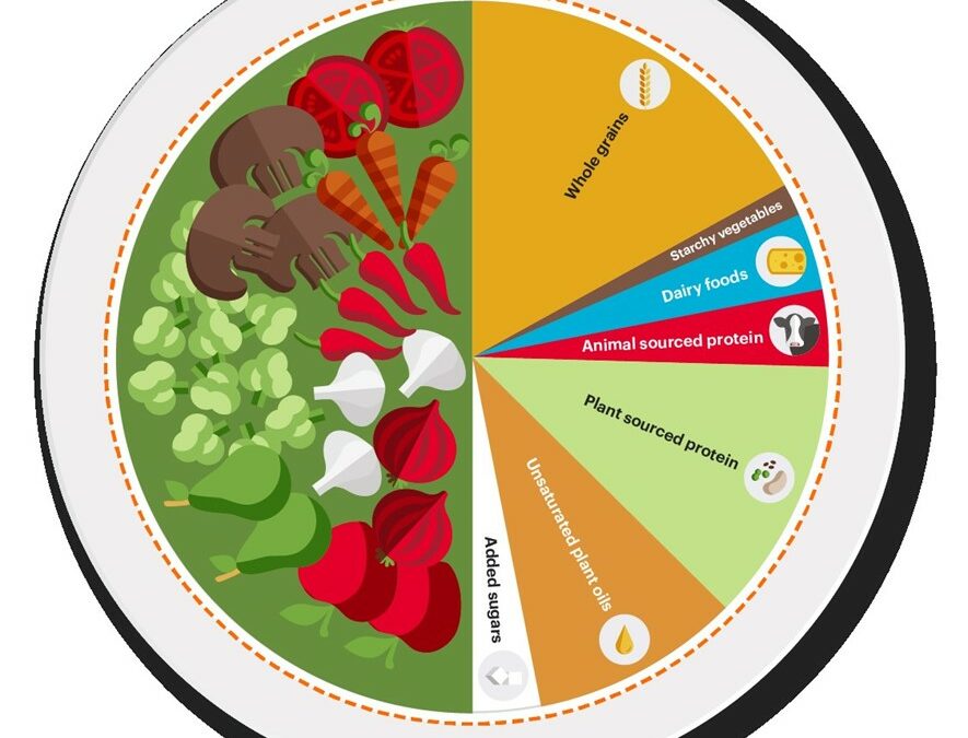 Pie chart of foods representing the planetary Health diet